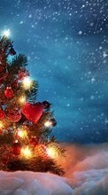 Scaricare immagine Fir-trees, New Year, Holidays, Snow sul telefono gratis.