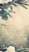 Scaricare immagine Fir-trees, Landscape, Plants, Snow, Winter sul telefono gratis.