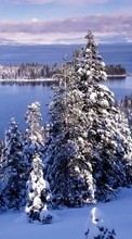 Scaricare immagine 1280x800 Landscape, Winter, Rivers, Fir-trees sul telefono gratis.