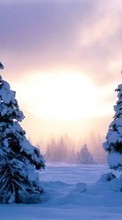 Scaricare immagine Fir-trees, Landscape, Snow, Sunset, Winter sul telefono gratis.