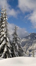 Scaricare immagine Fir-trees, Landscape, Snow, Winter sul telefono gratis.