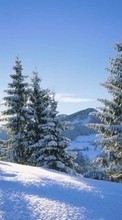 Scaricare immagine Landscape, Winter, Fir-trees sul telefono gratis.
