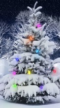 Scaricare immagine Fir-trees,Holidays sul telefono gratis.