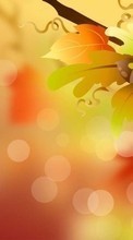 Scaricare immagine Acorns, Background, Leaves, Autumn, Pictures sul telefono gratis.