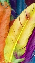 Feather,Background per Motorola Milestone XT720