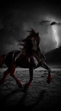 Scaricare immagine Fantasy,Horses,Animals sul telefono gratis.