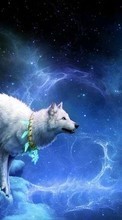 Scaricare immagine Fantasy, Wolfs, Animals sul telefono gratis.