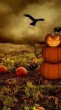 Scaricare immagine Background,Halloween,Holidays sul telefono gratis.