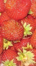Scaricare immagine Strawberry, Backgrounds sul telefono gratis.