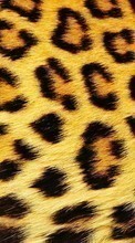 Scaricare immagine Background, Leopards sul telefono gratis.