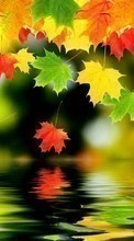 Background,Leaves,Autumn per Samsung Galaxy E7