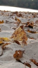 Scaricare immagine 128x160 Backgrounds, Autumn, Leaves, Beach, Sand sul telefono gratis.