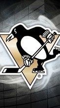 Scaricare immagine Background, Logos, Hockey, Pinguins, Sports sul telefono gratis.