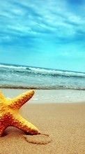Scaricare immagine Background,Sea,Starfish,Beach sul telefono gratis.