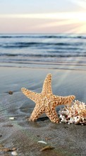 Scaricare immagine Background, Sea, Objects, Beach, Sun sul telefono gratis.