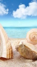 Scaricare immagine Background, Sea, Nature, Snails sul telefono gratis.