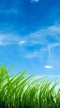 Background, Sky, Grass per Samsung Galaxy Tab 3