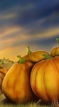 Scaricare immagine Background, Vegetables, Pictures, Pumpkin sul telefono gratis.