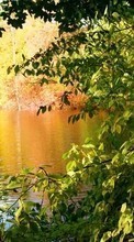 Scaricare immagine Background, Lakes, Nature, Plants sul telefono gratis.