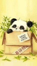 Scaricare immagine Background,Pandas,Animals sul telefono gratis.