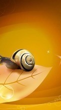 Scaricare immagine Background,Snails sul telefono gratis.