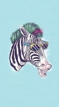 Scaricare immagine Background, Funny, Zebra, Animals sul telefono gratis.