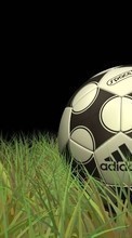 Scaricare immagine Sport, Grass, Football, Objects sul telefono gratis.