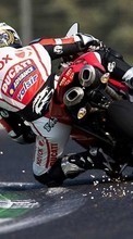 Scaricare immagine Races, Motorcycles, Sports, Transport sul telefono gratis.