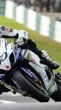 Scaricare immagine Races, Motorcycles, Sports, Transport sul telefono gratis.