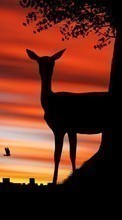 Scaricare immagine Cities, Deers, Pictures, Sunset, Animals sul telefono gratis.