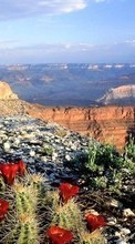 Scaricare immagine Mountains, Cactuses, Sky, Landscape sul telefono gratis.