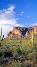 Scaricare immagine Landscape, Cactuses, Mountains sul telefono gratis.