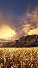 Scaricare immagine Mountains,People,Men,Landscape,Fields,Wheat sul telefono gratis.