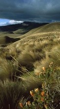 Scaricare immagine Mountains, Clouds, Landscape, Fields, Grass sul telefono gratis.