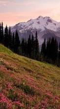 Scaricare immagine 1024x600 Landscape, Mountains sul telefono gratis.