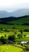 Scaricare immagine Mountains, Landscape, Fields sul telefono gratis.