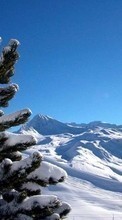 Scaricare immagine Mountains,Landscape,Pine,Winter sul telefono gratis.