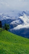 Scaricare immagine 240x320 Landscape, Grass, Mountains sul telefono gratis.