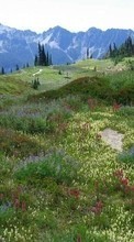Scaricare immagine 1024x600 Landscape, Grass, Mountains sul telefono gratis.
