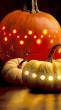 Scaricare immagine 320x240 Holidays, Halloween, Vegetables, Pumpkin sul telefono gratis.