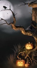 Halloween, Holidays, Pumpkin per HTC Touch