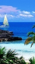 Scaricare immagine Landscape, Water, Sea, Yachts, Palms sul telefono gratis.