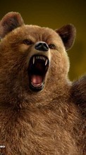 Scaricare immagine Games, Bears, Tekken sul telefono gratis.