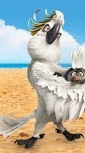 Rio, Cartoon, Beach, Parrots, Birds per Apple iPhone XR