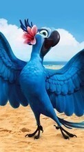 Scaricare immagine Rio, Cartoon, Parrots, Birds sul telefono gratis.