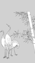 Scaricare immagine Storks, Birds, Pictures, Animals sul telefono gratis.