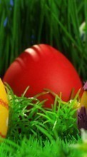 Scaricare immagine Eggs,Objects,Holidays sul telefono gratis.