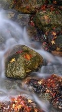 Scaricare immagine Landscape, Water, Rivers, Stones, Leaves sul telefono gratis.