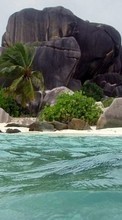 Scaricare immagine Landscape, Water, Stones, Sea, Beach, Palms sul telefono gratis.