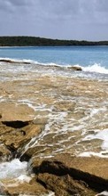 Scaricare immagine Stones, Sea, Palms, Landscape, Beach, Waves sul telefono gratis.